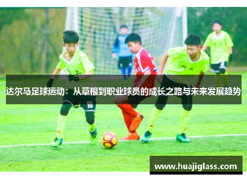 达尔马足球运动：从草根到职业球员的成长之路与未来发展趋势