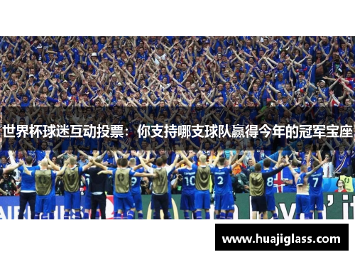世界杯球迷互动投票：你支持哪支球队赢得今年的冠军宝座